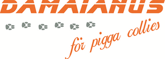 Damaianus - för pigga collies